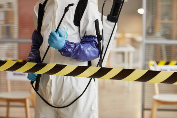 Professional Hoarding Cleanup technician working in Marlborough, MA